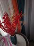 爱泽宝 红色发财果发发果红果北美冬青枝假花仿真花餐桌摆设客厅茶几电视柜新年装饰花婚庆乔迁花艺摆件 5支红果1银杏叶1尤加利+简律花瓶（配挂饰） 实拍图