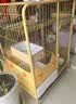 蔻丝猫笼子猫窝别墅带厕所一体室内大号减少外溅家用猫舍屋宠物猫笼 三层原木【78*55*108】自由活动 猫厕款：抽屉式猫砂盆带铲+吊床 实拍图