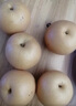 王掌柜山东烟台 莱阳 秋月梨 冰糖脆甜 细腻化汁 甘甜酥脆  甘甜秋月梨 净果4.5斤6-9颗300g+ 实拍图