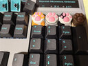 阿米洛（Varmilo） 试轴器 个性键帽 小挂饰 小礼品 zomo联名暹罗猫爪键帽一个 实拍图