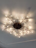 灯强 北欧风格灯具LED主卧室灯轻奢客厅大灯温馨浪漫花朵水晶吸顶灯 金色-30头-直径93cm三色变光 实拍图