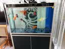 森森（SUNSUN）鱼缸水族箱含鱼缸过滤器灯大型金鱼缸 黑色 H2Y 1.2米长49cm宽底滤 带棉+滤材 实拍图