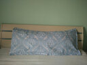 韫色 送-枕套双人枕头情侣枕加长枕头大枕芯长款1.2米1.5m1.8m床 实拍图