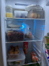 禧天龙PET冰箱保鲜盒食品级冰箱收纳盒密封盒蔬菜水果冷冻盒加高中号 实拍图