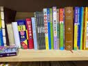 巴黎圣母院（新版全译插图本）/译林名著精选 实拍图