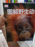 DK图解野生动物中小学生课外必读图解动物百科DK百科经典9787563730742绝美图像哺乳类鸟类爬虫类两栖类鱼类 实拍图