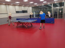 劲踏（JINTA）乒乓球地胶室内乒乓球专用地胶垫PVC运动地板乒乓球馆地胶垫 专业型 红布纹4.5mm 实拍图