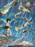 《海兽的孩子》特别修复版5册套装 漫编选第二弹 带着海洋气息的稀有之作 五十岚大介 海兽之子 漫画 读库·漫编室 实拍图