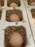 岳西馆 储山 农家鲜鸡蛋 农村粮食喂养新鲜柴鸡蛋 40枚 实拍图