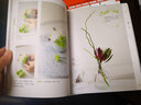 插花系列套装：我的插花日记+我的插花故事+我的插花生活（套装共3册） 实拍图