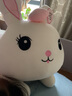 蓓斯曼兔子毛绒玩具趴兔睡觉抱枕布娃娃玩偶陪睡生日礼物送女生夹腿布偶 粉色开心每一天蝴蝶结兔 1米 实拍图