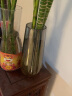 墨斗鱼玻璃花瓶假花仿真花插花摆件富贵竹水培植物灰色简意条纹花瓶1601 实拍图
