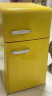 志高（CHIGO）43L复古冰箱家用小型双开门彩色欧式网红时尚办公室电冰箱 冷藏冷冻保鲜母婴母乳化妆品存储 晒单实拍图
