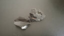 唯誠 天然 水晶石矿石原石儿童收藏矿石教学标本摆件 黑曜石原石一块（2-3厘米） 实拍图