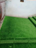 帛莉户外地毯防水防晒仿真草坪足球场人工草皮阳台幼儿园人造铺垫装饰 2米宽 加密春草 1米长 晒单实拍图