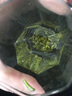 六雨绿茶2025新茶雀舌礼盒装送礼茶叶 常州特产金坛嫩芽毛尖炒青春茶 208g*1件 （买送外包装盒+手拎袋） 实拍图