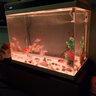森森（SUNSUN） 超白玻璃小鱼缸客厅小型桌面家用水族箱生态免换水金鱼缸 HE600高档缸内置棉和滤材(物流发货) 实拍图