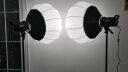 金贝（JINBEI）EF-80/80BI双色温补光灯手持移动室内外摄影摄像视频直播灯人像美食珠宝摄影 【白光】中小场景半身直播 双灯套 晒单实拍图