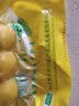 蓝湖优品【三色】东北黄米粘豆包紫米江米黏粘糕年糕特产纯手工黏芸豆豆包 黄米粘豆包330g*1袋（共9个） 实拍图