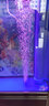 森森 增氧泵鱼缸氧气泵水族箱增氧机小型充氧泵 【交流插电】单孔4W（带增氧套餐） 实拍图