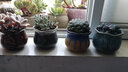 仟尚亿多肉花盆组合盆陶瓷花盆绿植绿萝吊兰紫砂粗陶透气创意简约小花盆 布袋花盆6个 实拍图