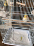 威毕鸟笼垫纸鸟屎垫清洁垫一次性纸垫方形圆形鸟笼垫布鸽子虎皮牡丹 圆笼34cm托盘清洁纸垫100片 实拍图
