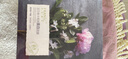 法兰琳卡（FRANIC）芦荟黄瓜补水面膜面贴膜芦荟胶保湿化妆品平价官方正品 烟酰胺面膜10片+芦荟胶40g 实拍图
