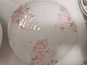 陶趣居日式盘子日本制造樱花餐具套装碗盘3D樱花雨面设计陶瓷套装间取樱 5.4英寸钵 实拍图