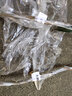 黄忠文广西荔枝树苗无核荔枝苗 妃子笑嫁接荔枝苗木桂味荔枝苗盆栽庭院 4年桂味荔枝苗（高80-110cm） 实拍图