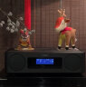 雅马哈（YAMAHA）TSX-B237无线蓝牙台式音箱 迷你音响CD播放器 FM收音机 TSX-B237胡桃木色 实拍图