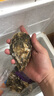 海鲜颂海鲜颂 生蚝鲜活 海蛎子牡蛎 冷水蚝烧烤食材 贝类 海鲜水产 刺身生蚝2.5kg（约15-25个） 实拍图