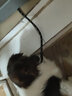 猫姐汪弟 狗绳子大型犬牵引绳反光牵引带加长2米中型犬遛狗绳狗链拴狗绳 黑色3米牵引绳 实拍图