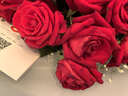 蔷薇恋鲜花速递同城配送红玫瑰花束表白送女友老婆求婚生日礼物纪念日 99朵混色玫瑰（香槟+粉玫瑰） 同城配送/预约送花时间-联系客服 实拍图