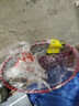 波盾 三股塑钢式电工穿线器网线钢丝线电线线槽线管光纤引线器钢丝拉线穿管器穿线神器 10米-配2个束紧器 实拍图