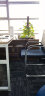 永诺 办公桌椅组合 老板桌经理桌现代简约书桌大班台大板桌办公室家具 白架+金橡木色（单桌） 升级板材 1.6米*0.8米 实拍图