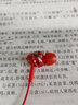 索尼（SONY） MDR-EX255AP 耳机入耳式有线带麦立体声手机通话高音质 红色 实拍图