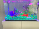 创海鱼缸玻璃长方形客厅家用小型桌面生态金鱼缸中型懒人免换水水族箱 60*30*47 单缸+仿真造景（图二造景） 实拍图