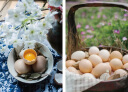中国风美食摄影：布景、构图与拍摄（全彩） 实拍图