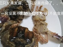 潮海堂南海红花蟹海捕鲜活冷冻梭子蟹大螃蟹花蟹生鲜蟹类海鲜水产 红花蟹中款 1500g 简装 100-150g/只 实拍图