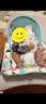 费雪（Fisher-Price）婴儿多功能轻便摇椅 新生儿哄睡安抚摇床满月礼物 简约风多功能轻便摇椅GFN32 实拍图