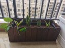 冠乐家 花箱防腐实木花箱碳化木长方形花盆户外庭院种植箱工程松木花槽 长宽高(cm)：80*30*30 实拍图