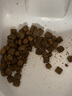 NOW FRESH无谷中大型成犬粮 25磅/11.34KG 效期至25/12  实拍图