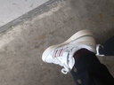阿迪达斯 （adidas）三叶草男鞋女鞋秋季新款情侣金标贝壳头运动时尚潮流休闲板鞋 JQ3220/酒红/情侣贝壳头 40 实拍图