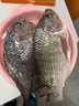 BKK鱼钩套装绑好子线双钩成品金袖钩伊势尼金海夕伊豆有无倒刺钩 45cm 金海夕 8号 实拍图