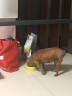 新宠之康鲜上鲜宠物泰迪狗粮肉粮小型犬软粮通用粮 泰迪犬专用狗粮1.5kg 实拍图