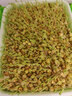 种菜记芽苗菜育苗盘套装水培蔬菜特色纸上种菜无土栽培立体芽苗菜架 加密盘(不带盖)5层/10盘套餐 实拍图