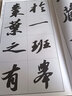 名碑名帖·完全大观：苏轼黄州寒食诗 实拍图