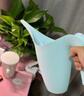 德沃多长嘴浇水壶紫色园艺工具洒水壶绿植种菜浇花浇水壶洒水壶加厚塑料 实拍图