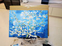 自油自画 世界名画数字油画diy礼物梵高手绘油画欧式客厅装饰挂画填色油画 杏花 50*70 梵高名画 绘画套装 实拍图