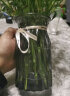 盛世泰堡 北欧玻璃花瓶透明小花瓶干花满天星仿真花容器摆件折纸灰18cm 实拍图